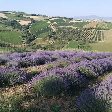 Il Melograno House Apartment