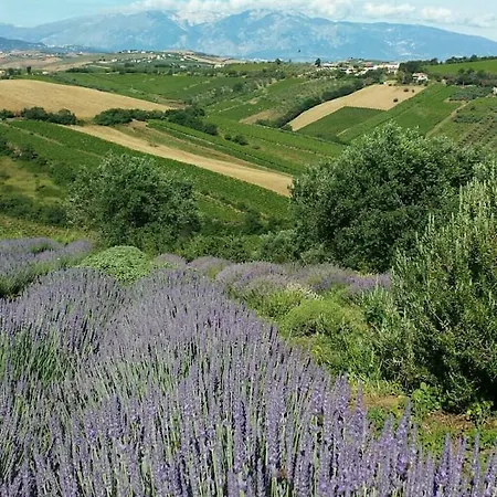Apartment Il Melograno House