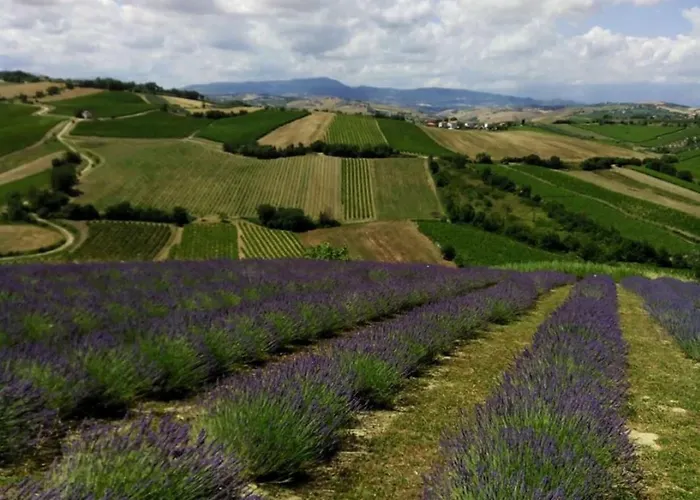 Апартаменты Il Melograno House Pollutri