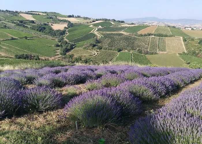 Il Melograno House Апартаменты