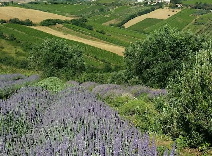 Апартаменты Il Melograno House